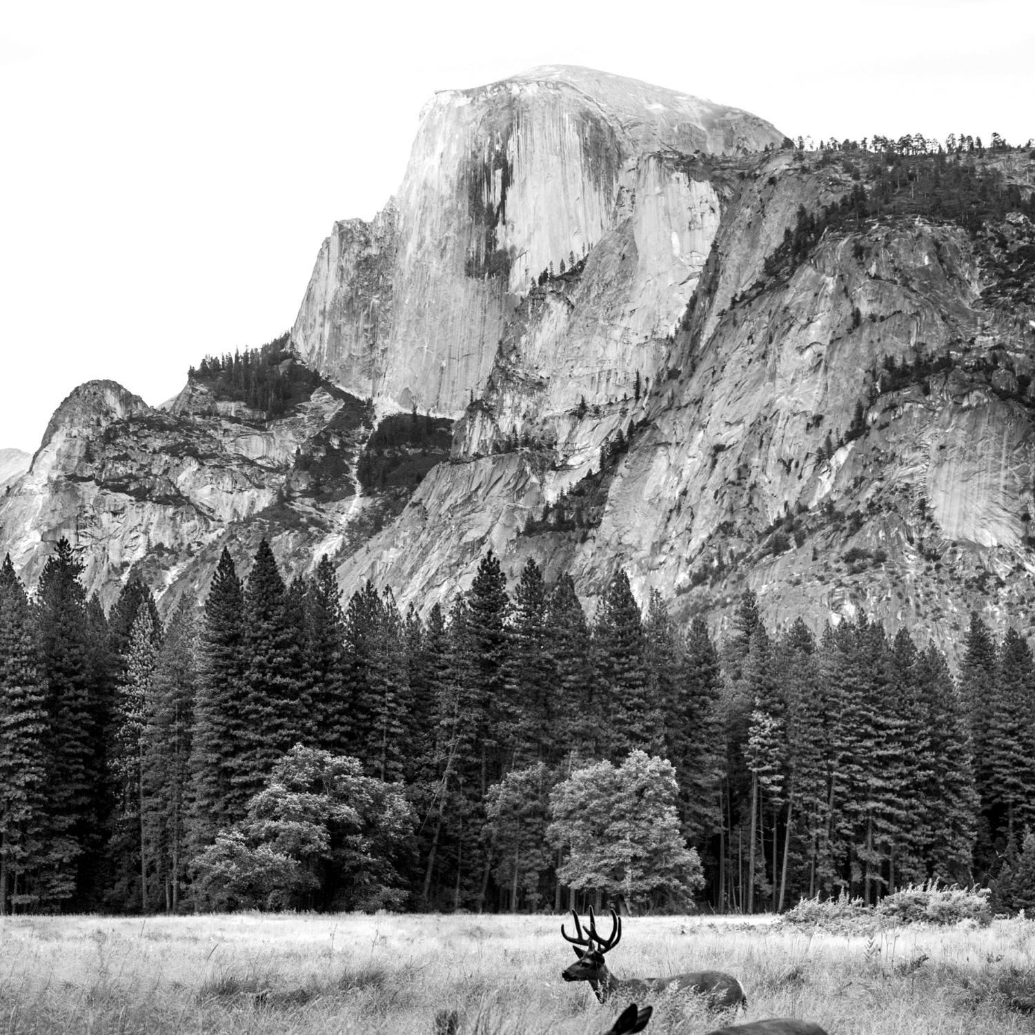 Yosemite National Park